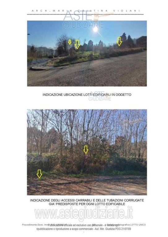 immagine annuncio 2 di 6