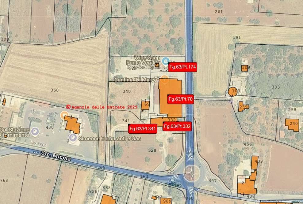 immagine annuncio 9 di 13