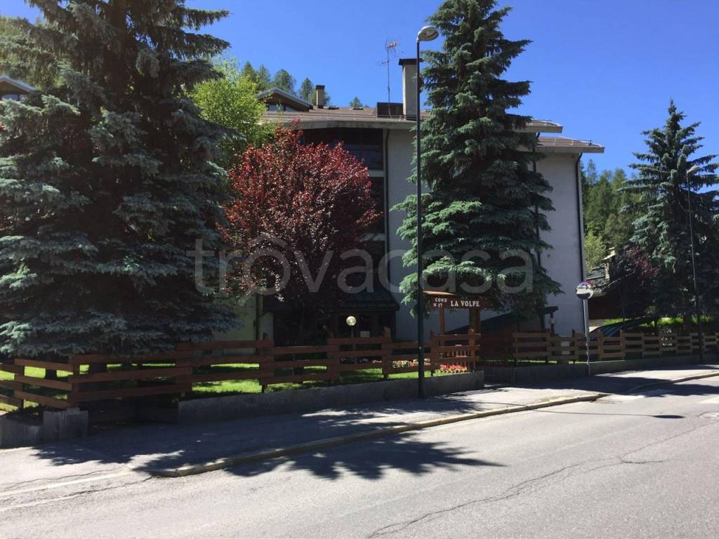 immagine annuncio 3 di 12