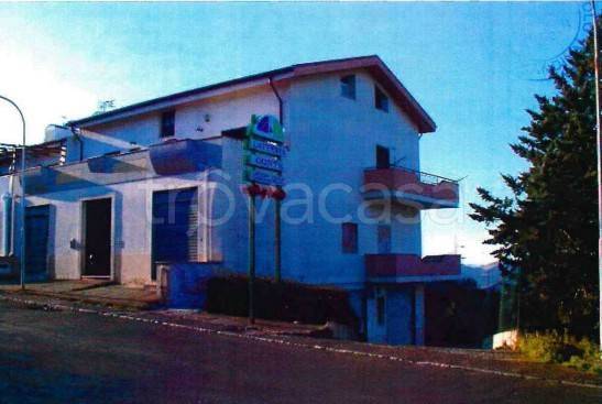 immagine annuncio 4 di 9