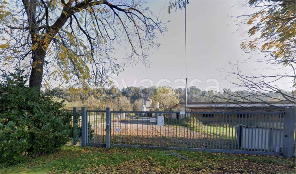 immagine annuncio 3 di 6