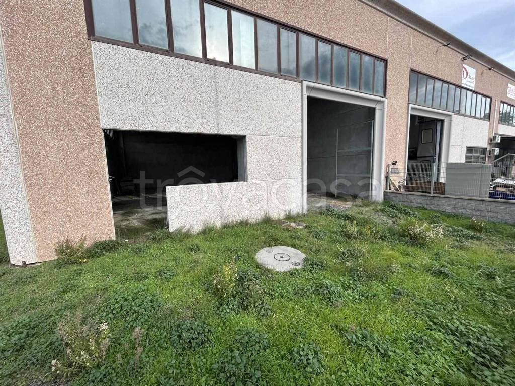 immagine annuncio 1 di 10