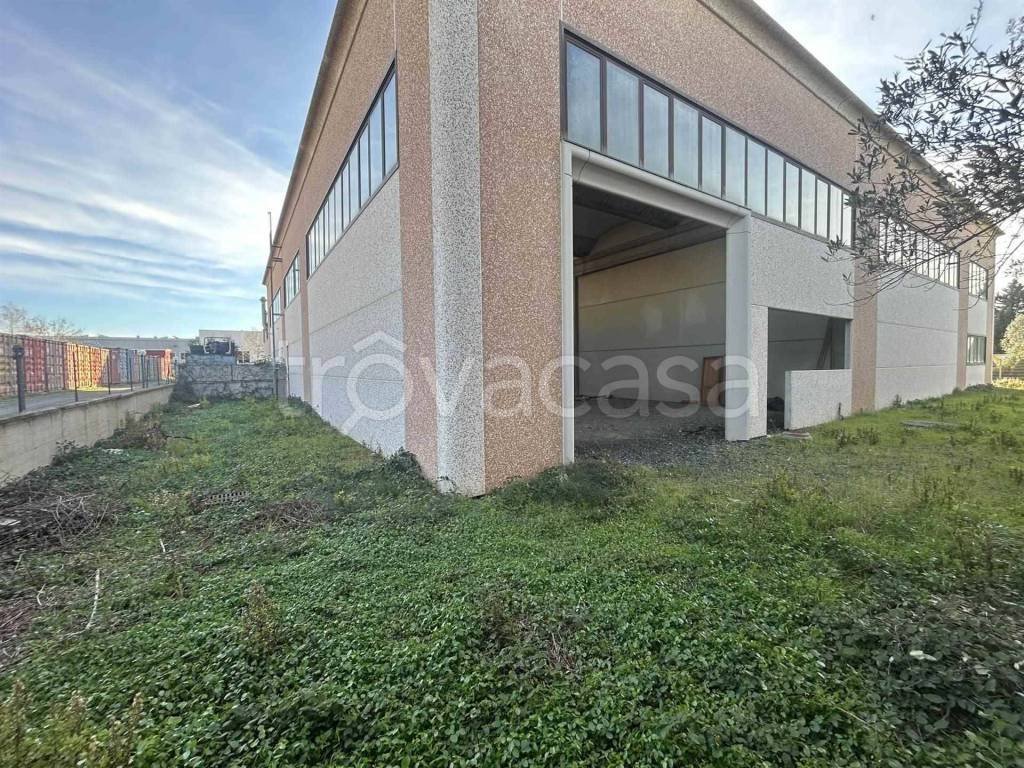 immagine annuncio 5 di 10