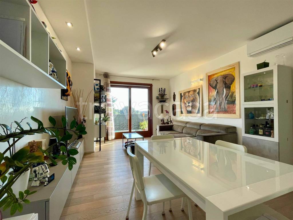 immagine annuncio 2 di 12