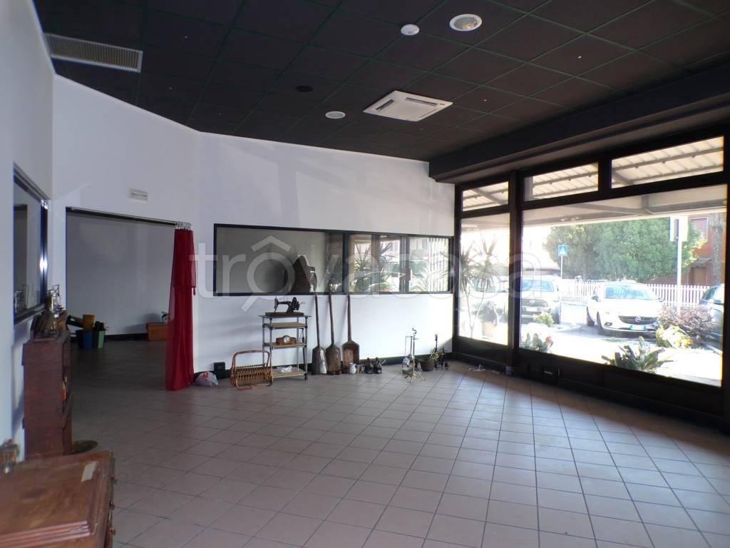 immagine annuncio 10 di 15