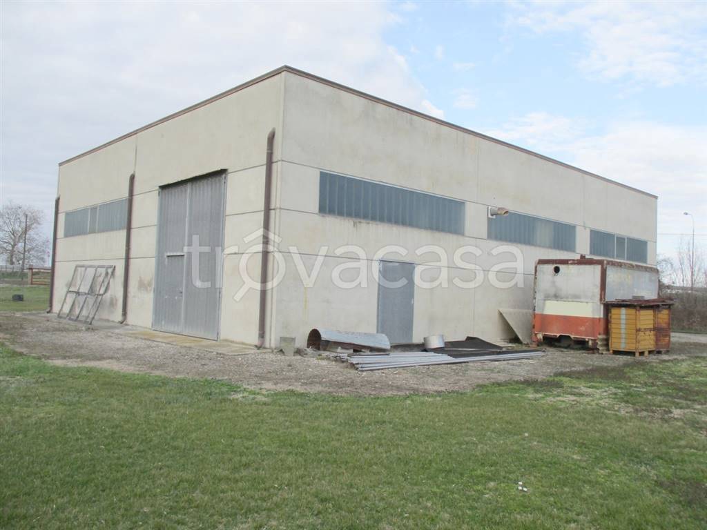 immagine annuncio 4 di 8