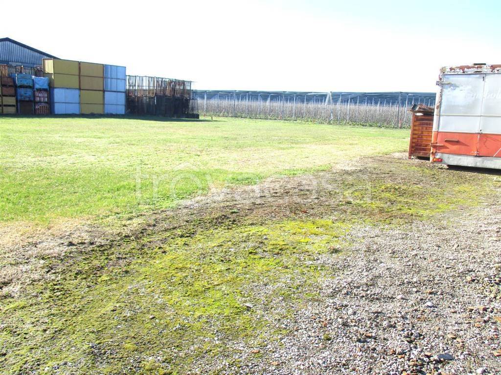 immagine annuncio 7 di 8