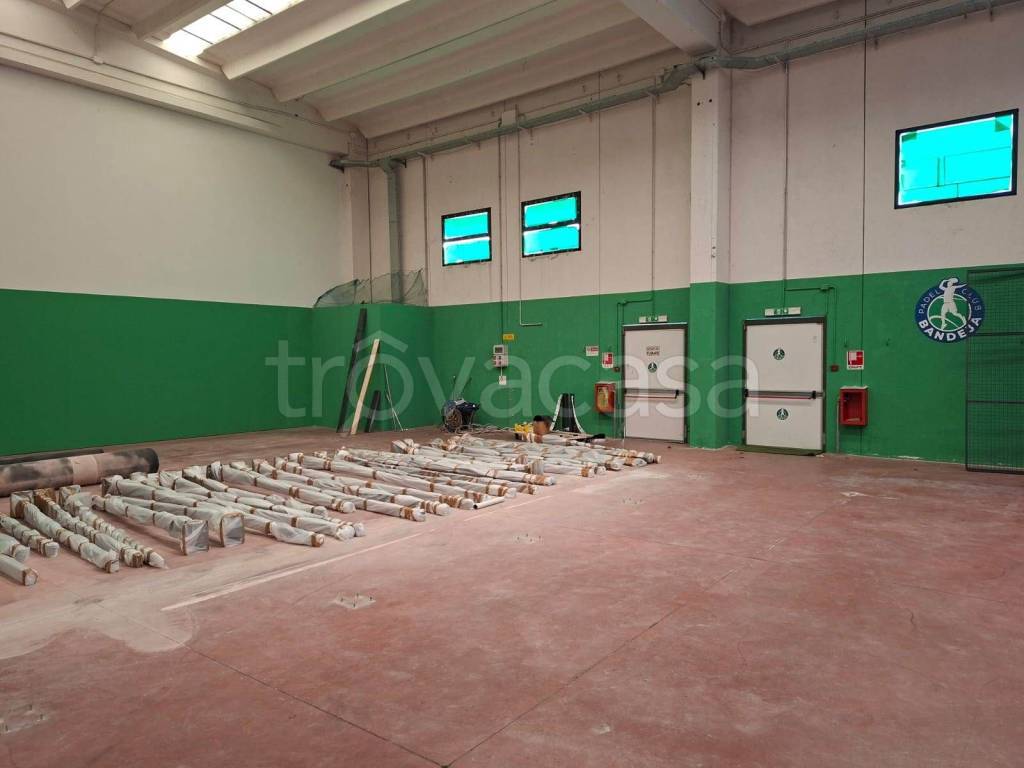 immagine annuncio 4 di 8