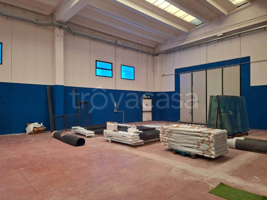 immagine annuncio 5 di 8