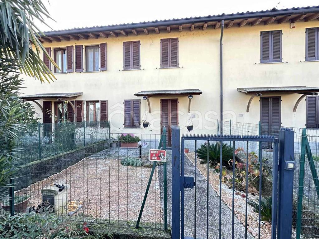 immagine annuncio 1 di 15