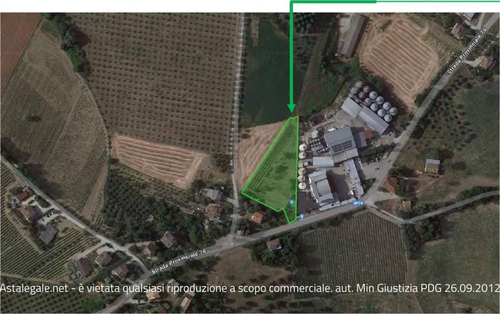 immagine annuncio 6 di 7