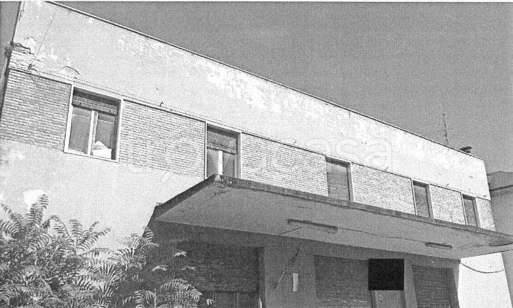 immagine annuncio 1 di 9