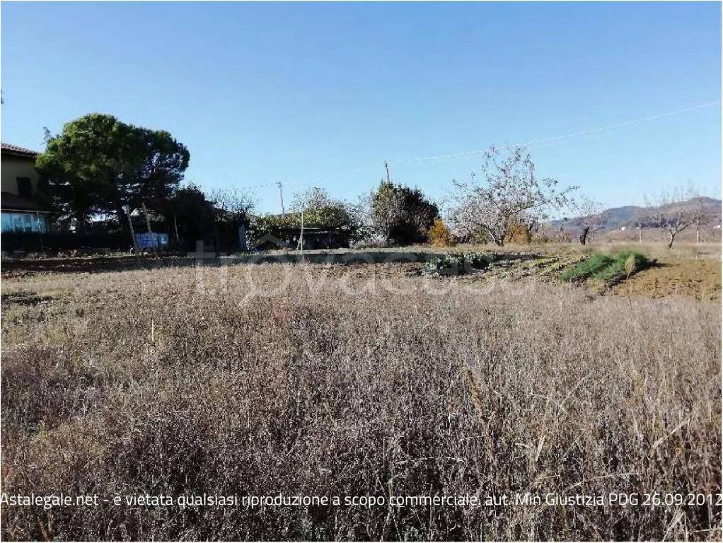 immagine annuncio 3 di 7