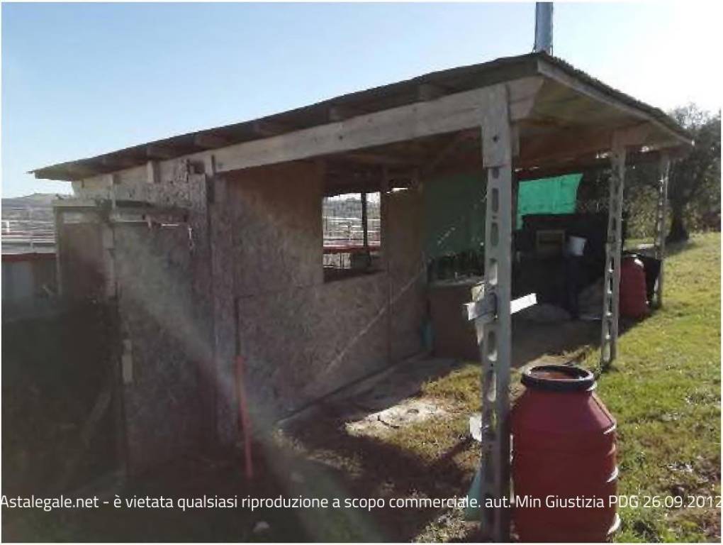 immagine annuncio 6 di 7