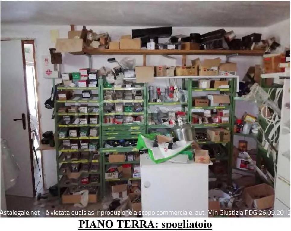 immagine annuncio 11 di 15