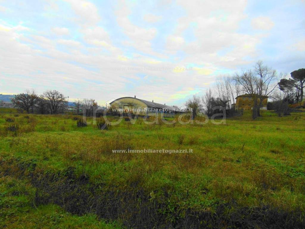 immagine annuncio 3 di 7