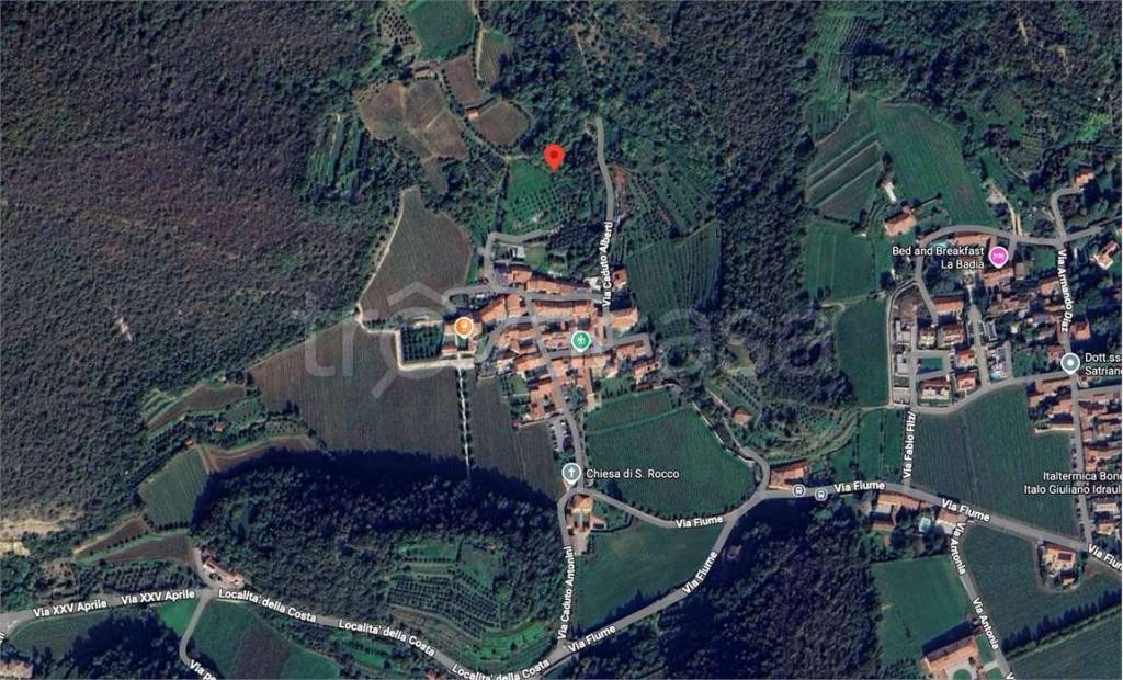 immagine annuncio 2 di 14