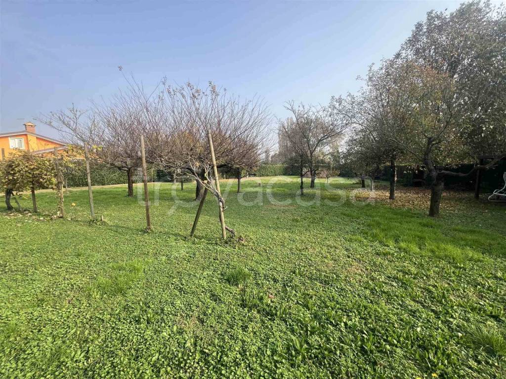 immagine annuncio 2 di 11