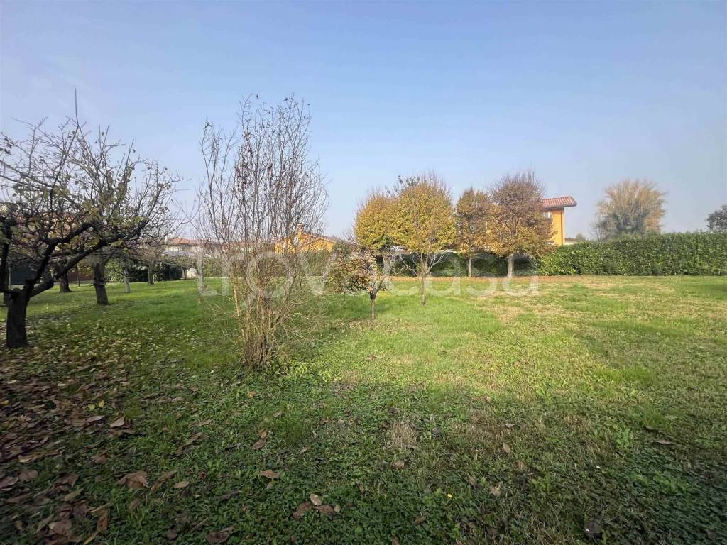 immagine annuncio 3 di 11