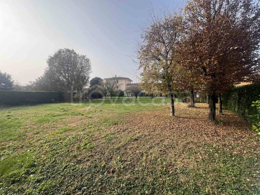 immagine annuncio 4 di 11