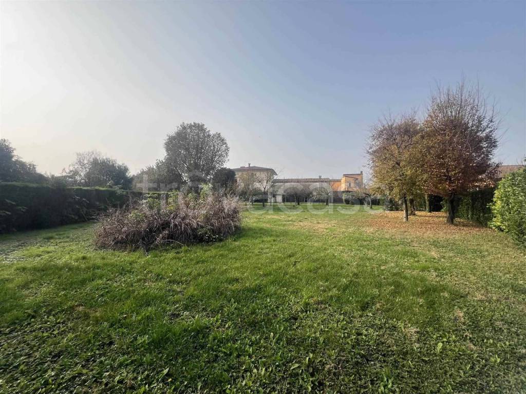 immagine annuncio 5 di 11