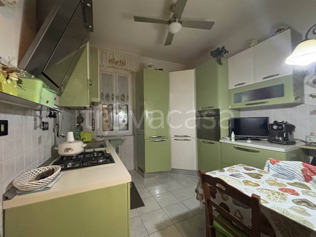 immagine annuncio 1 di 14