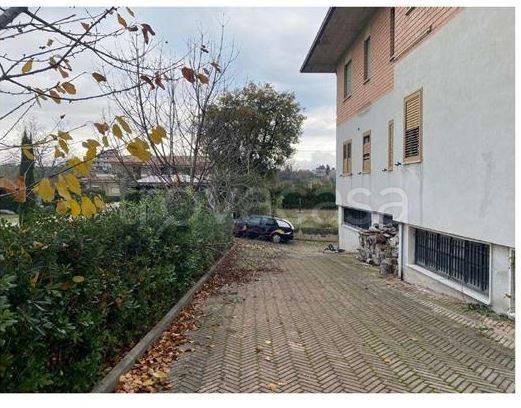 immagine annuncio 5 di 8