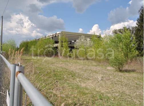 immagine annuncio 4 di 7