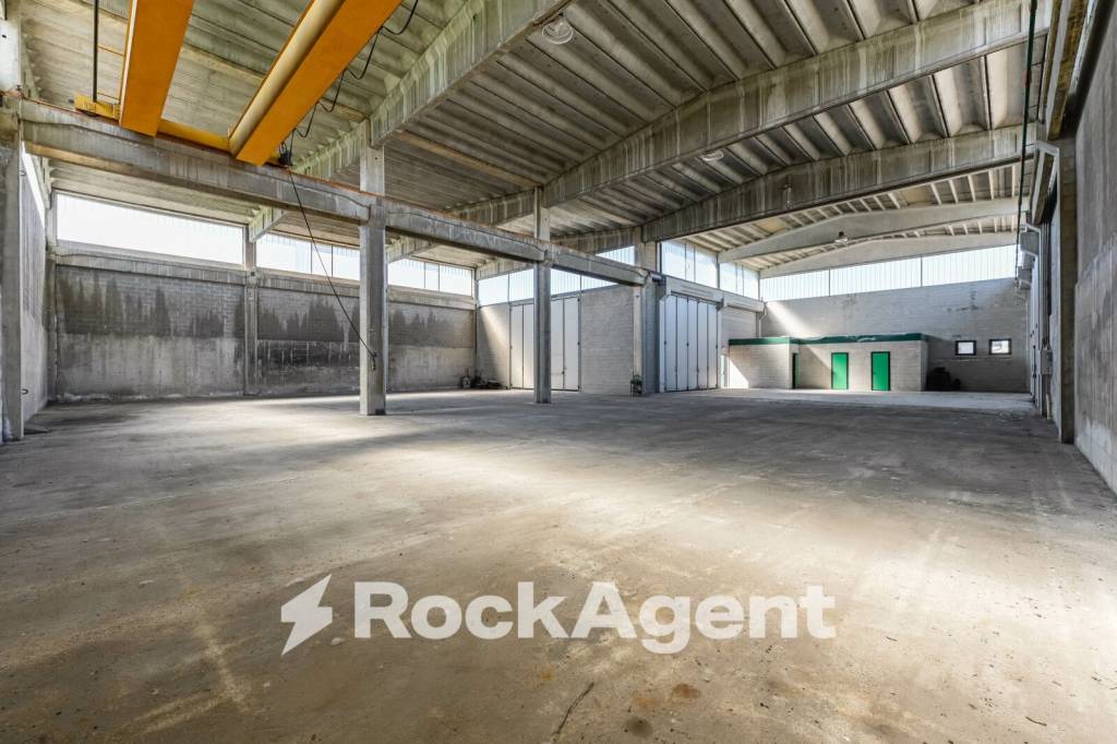 immagine annuncio 6 di 15