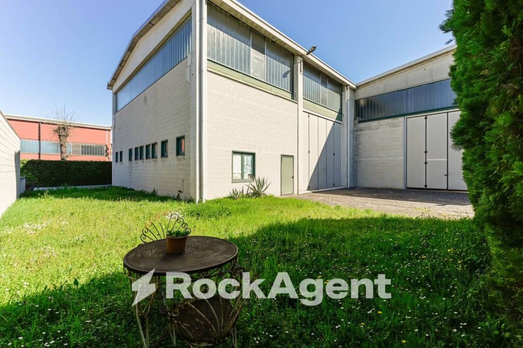 immagine annuncio 12 di 15