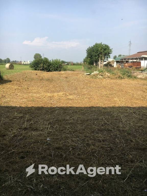 immagine annuncio 7 di 11