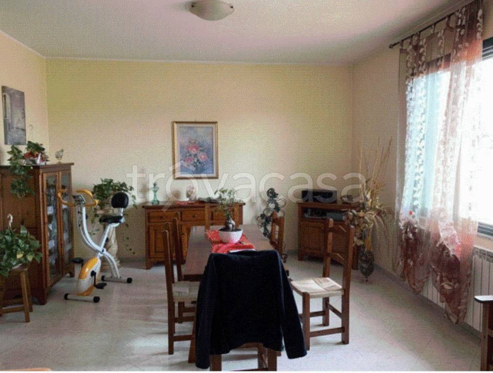 immagine annuncio 5 di 11