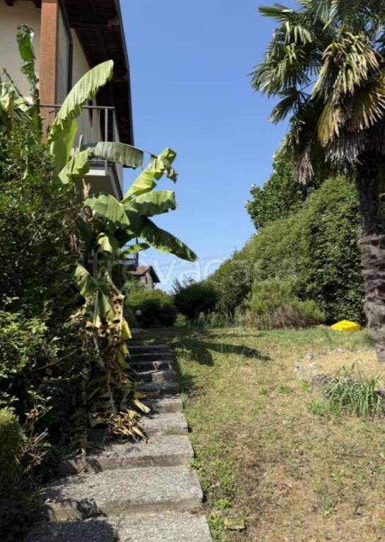 immagine annuncio 5 di 11