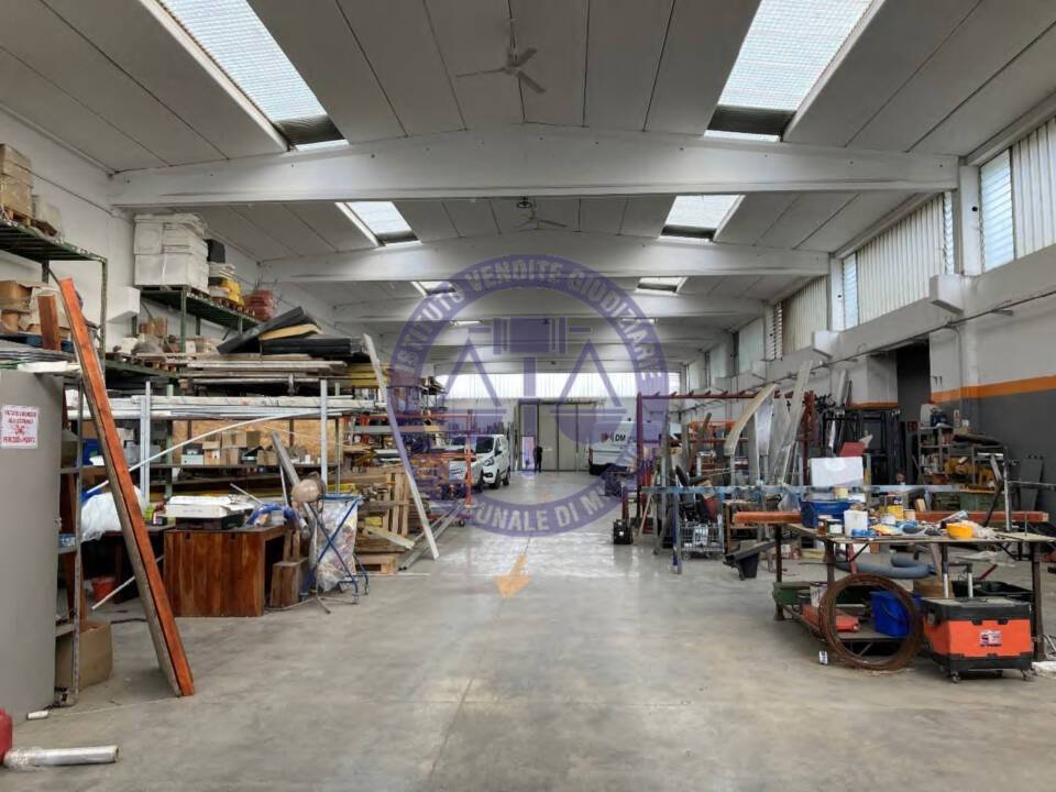 immagine annuncio 3 di 12