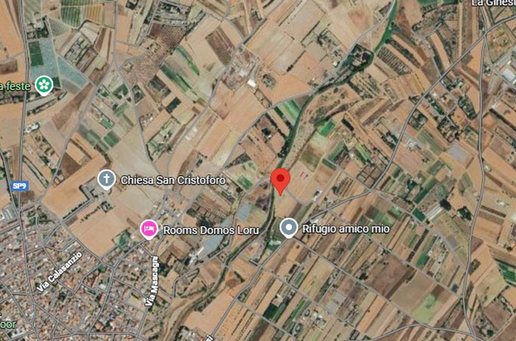 immagine annuncio 5 di 10