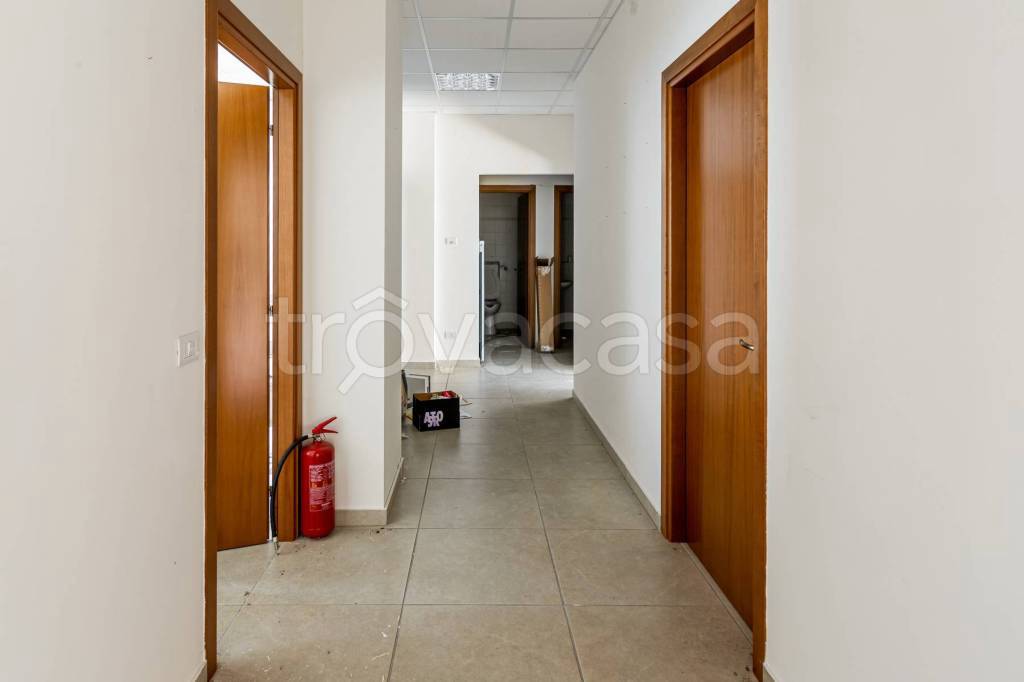 immagine annuncio 6 di 12