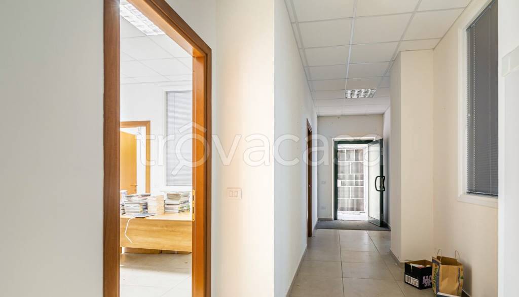 immagine annuncio 8 di 12