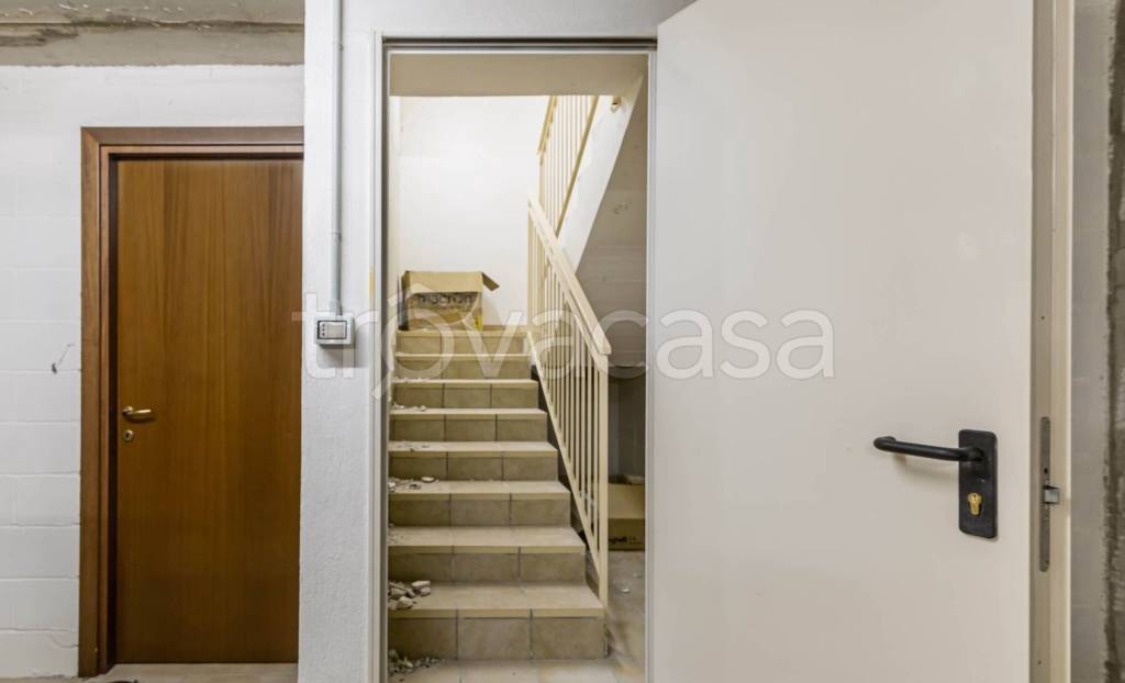 immagine annuncio 9 di 12