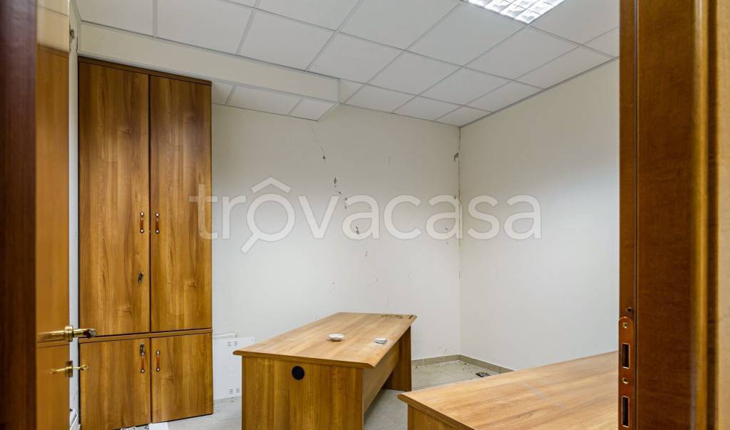 immagine annuncio 10 di 12