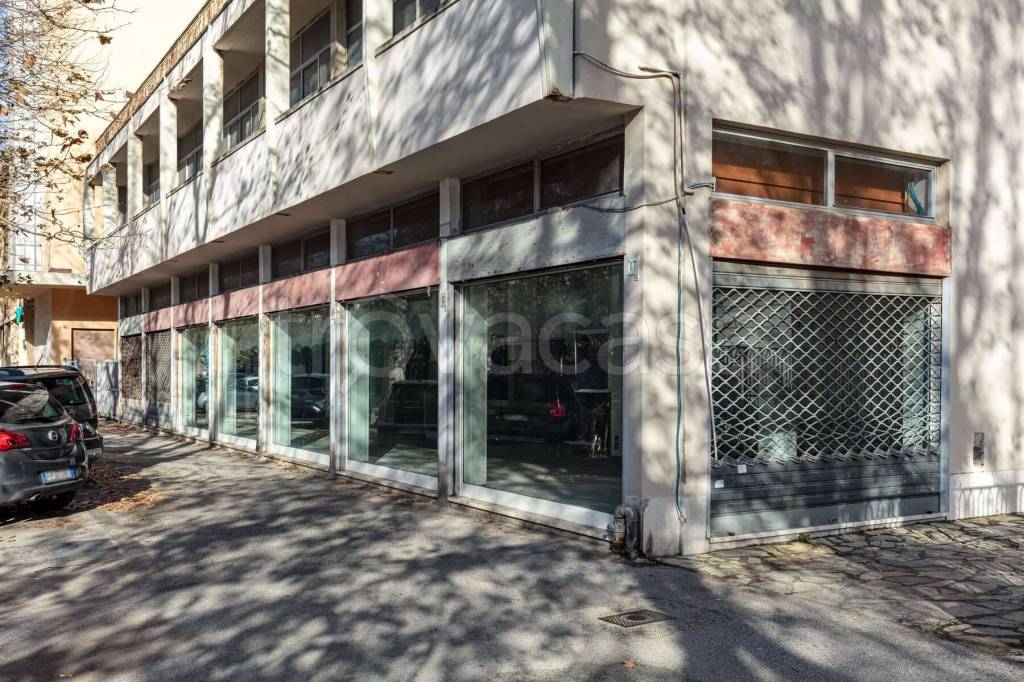 immagine annuncio 1 di 14