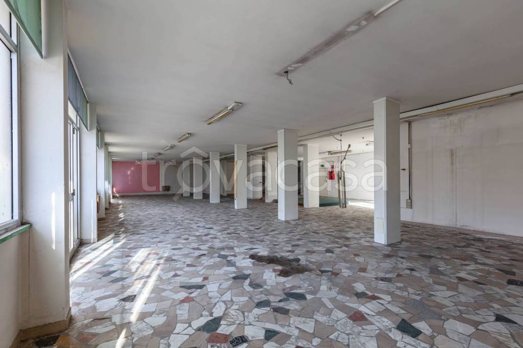 immagine annuncio 2 di 14