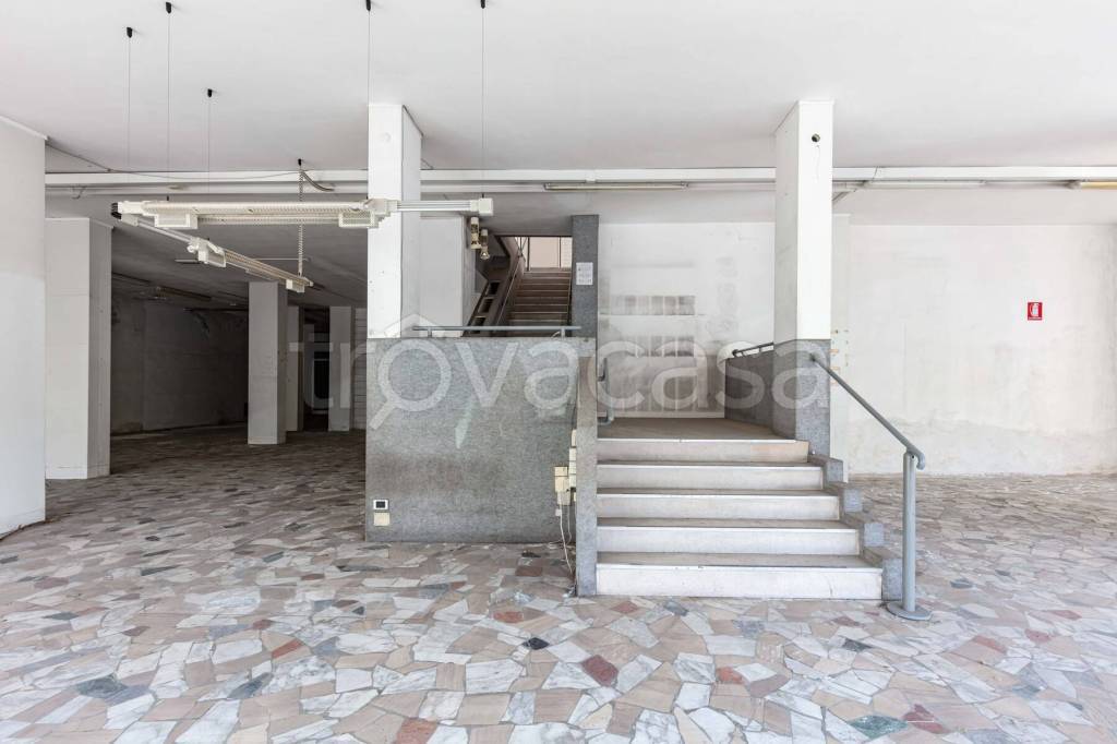 immagine annuncio 3 di 14