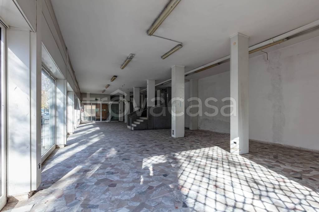 immagine annuncio 4 di 14