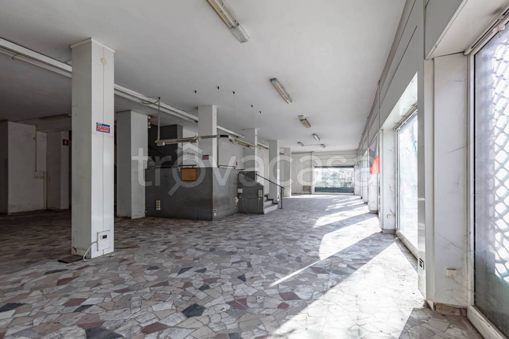 immagine annuncio 5 di 14