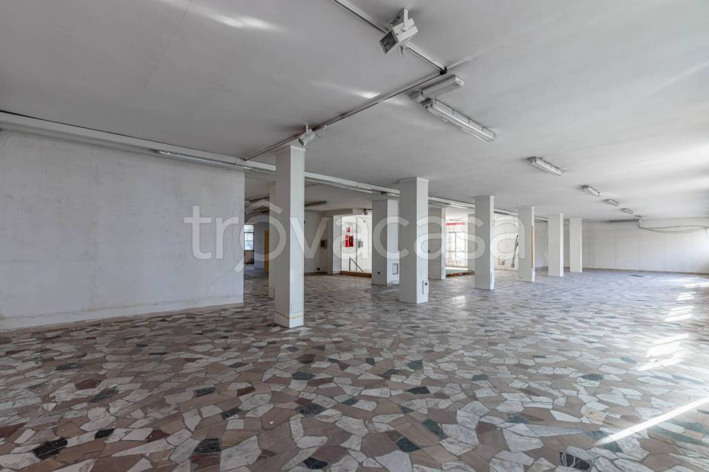 immagine annuncio 9 di 14