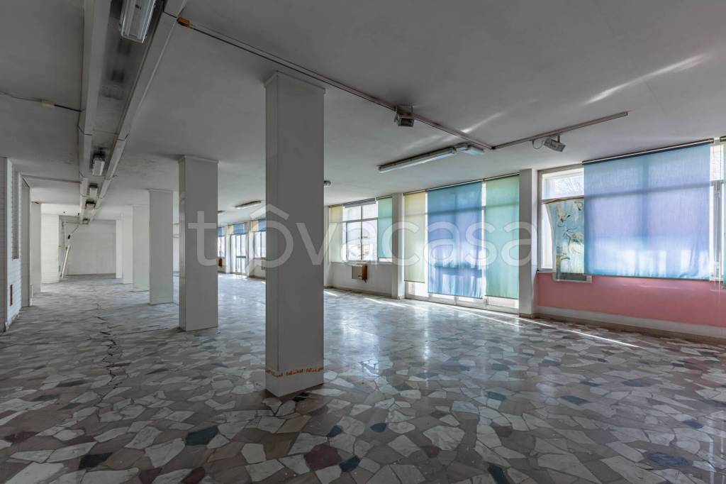 immagine annuncio 10 di 14