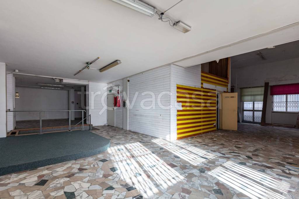 immagine annuncio 11 di 14