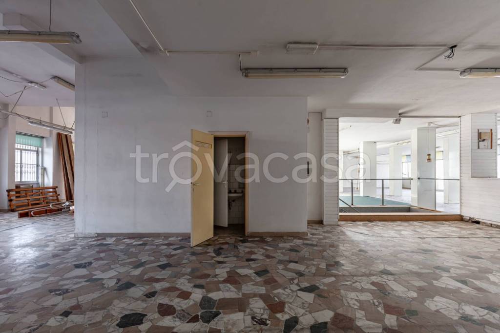 immagine annuncio 12 di 14