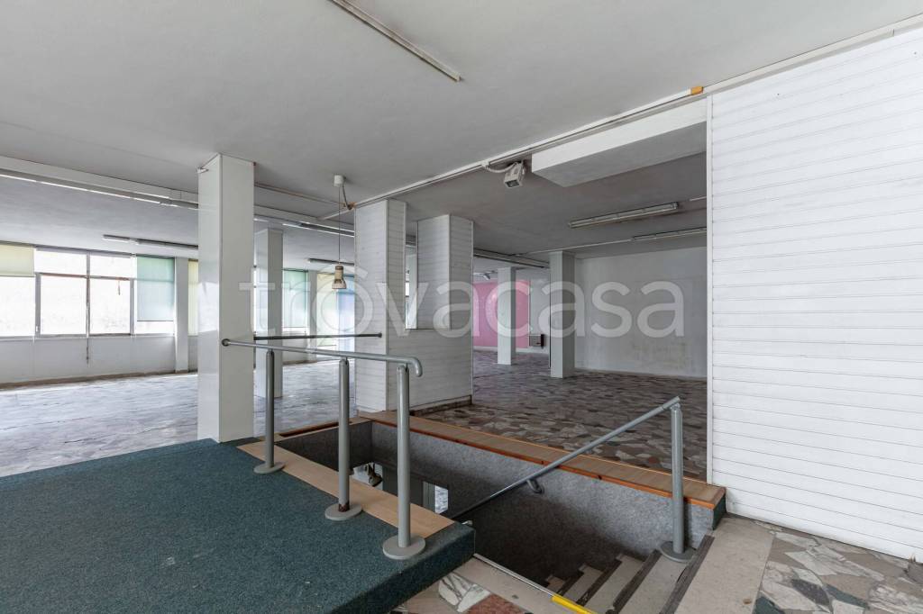 immagine annuncio 13 di 14