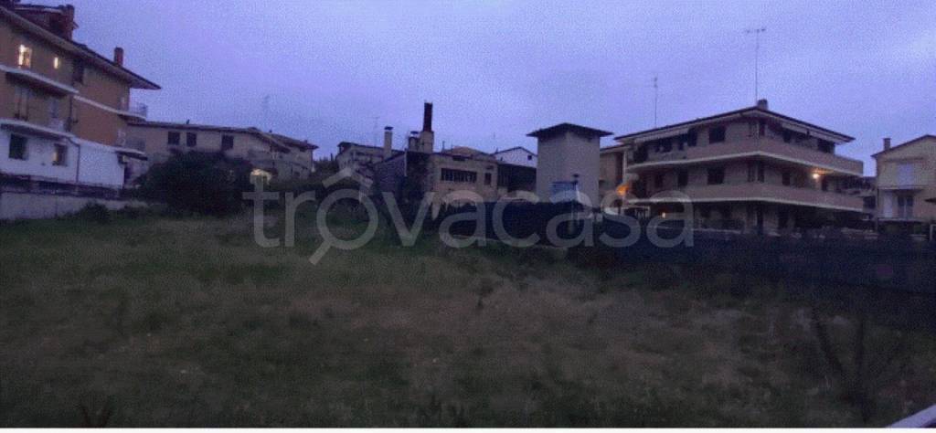 immagine annuncio 8 di 11